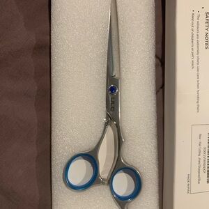 LG Stainless Steel Scissors with Blue Detail